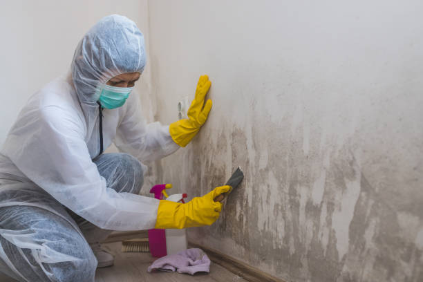 Best Residential Mold Inspection & Testing  in Kaloko, HI